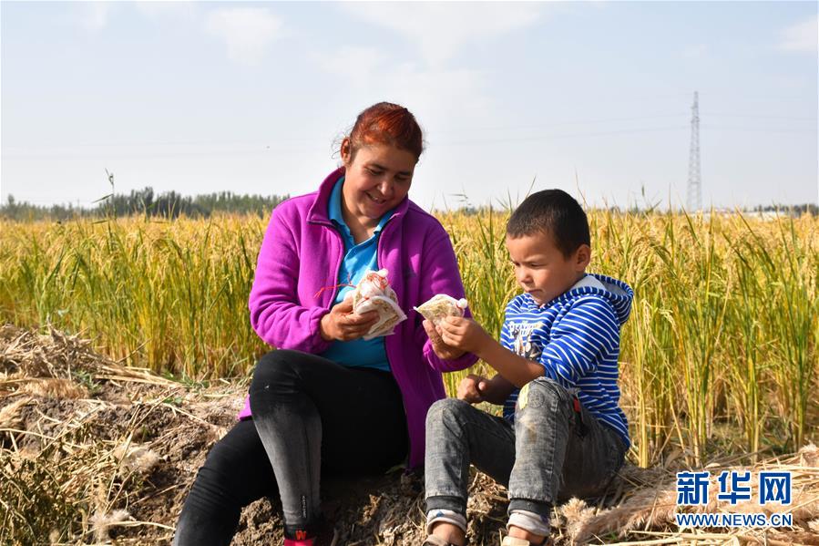(圖文互動)(4)我在塔克拉瑪干沙漠種水稻