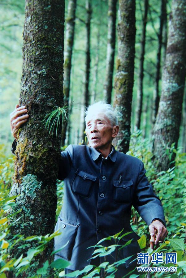 （熱點鮮報&middot;圖文互動）（3）善洲精神永相傳：留下一片綠洲 造福家鄉(xiāng)百姓