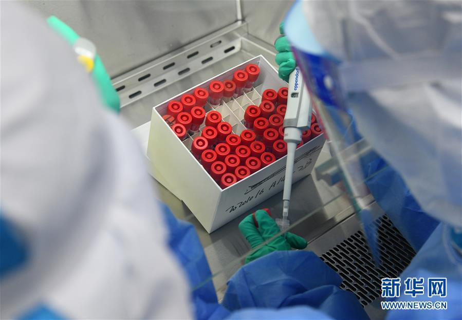 (聚焦疫情防控·圖文互動(dòng))(3)青島全員核酸檢測(cè)基本完成