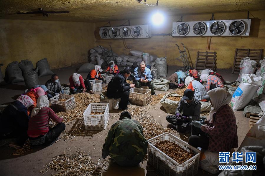 （習近平的小康故事&middot;圖文互動）（8）&ldquo;我很期盼的一件事，就是讓鄉(xiāng)親們飽餐一頓肉&rdquo;&mdash;&mdash;習近平和脫貧攻堅的故事