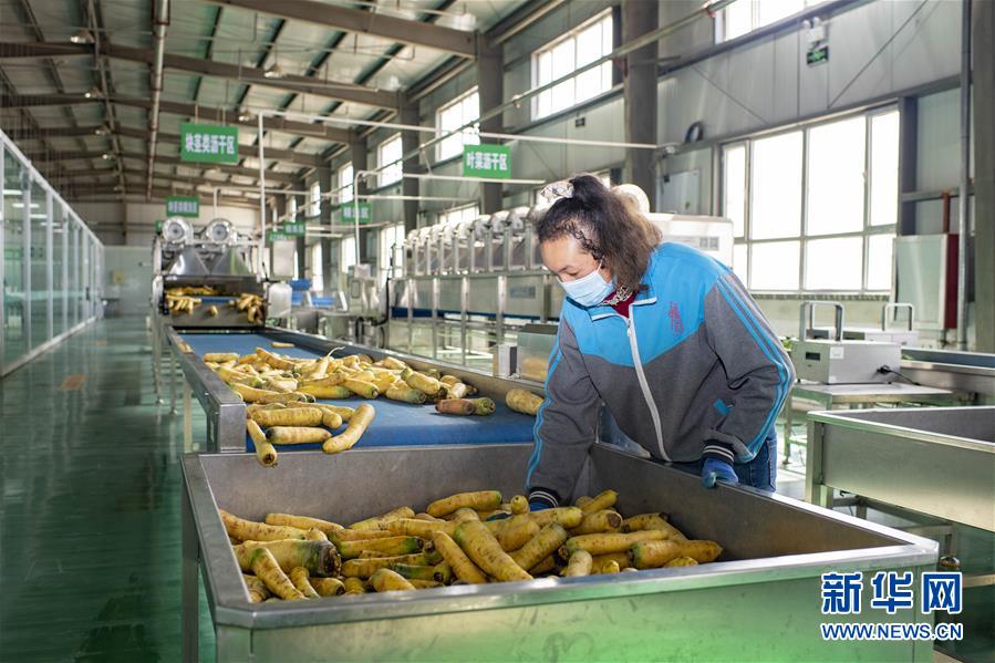 （聚焦疫情防控&middot;圖文互動）（2）把握先機 應(yīng)對有序&mdash;&mdash;新疆疏附縣全力阻斷新冠肺炎病毒傳播