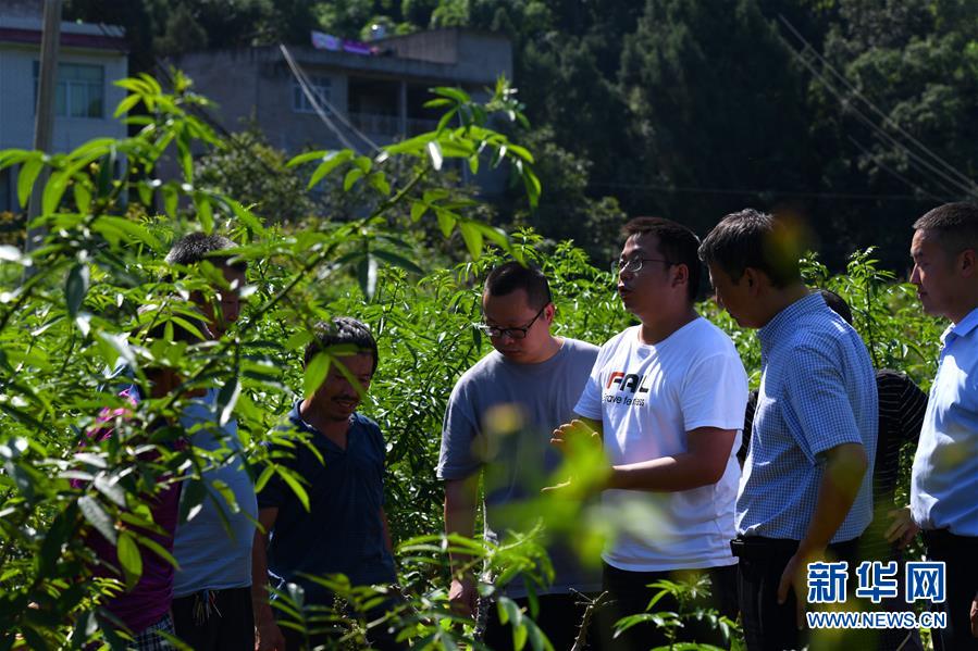 （決戰(zhàn)決勝脫貧攻堅(jiān)&middot;圖文互動(dòng)）（3）&ldquo;堵槍眼&rdquo;的脫貧戰(zhàn)怎么打？&mdash;&mdash;繼光村見聞