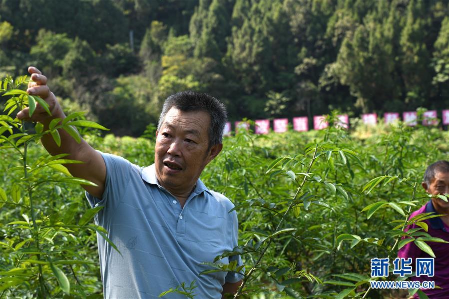 （決戰(zhàn)決勝脫貧攻堅(jiān)&middot;圖文互動(dòng)）（4）&ldquo;堵槍眼&rdquo;的脫貧戰(zhàn)怎么打？&mdash;&mdash;繼光村見聞