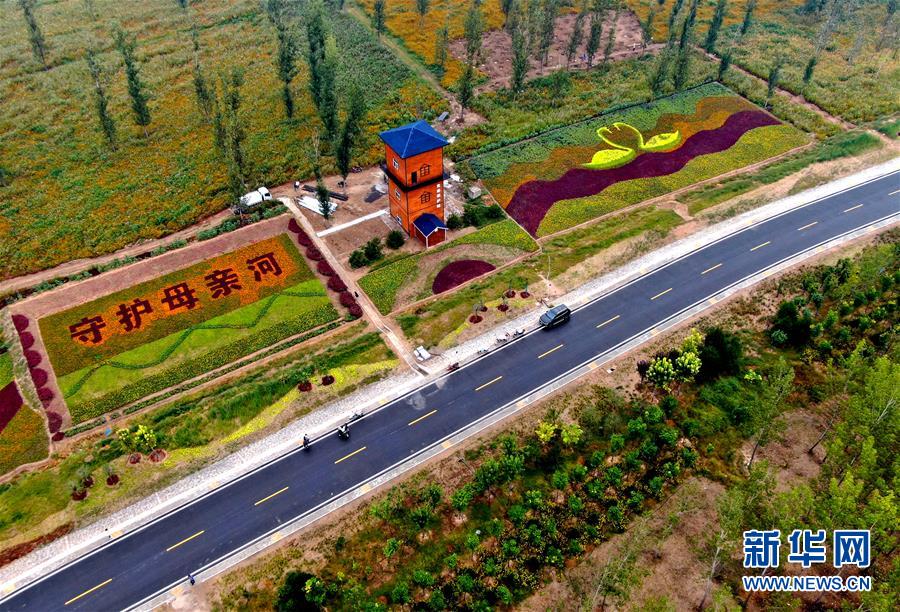 (新華全媒頭條·圖文互動)(6)從“四亂”突出到生態(tài)修復(fù) 黃河漸成中原“綠飄帶”