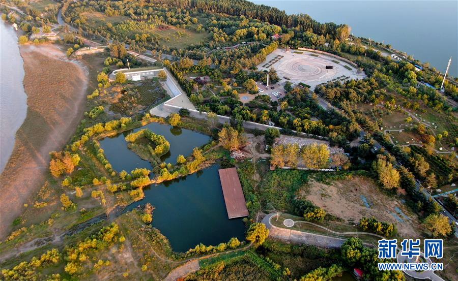 (新華全媒頭條·圖文互動)(14)從“四亂”突出到生態(tài)修復(fù) 黃河漸成中原“綠飄帶”