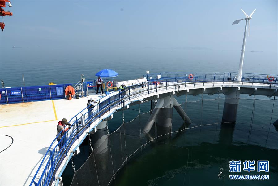 （新華全媒頭條&middot;圖文互動）（5）&ldquo;拔&rdquo;海起牧場 &ldquo;耕&rdquo;海新牧歌