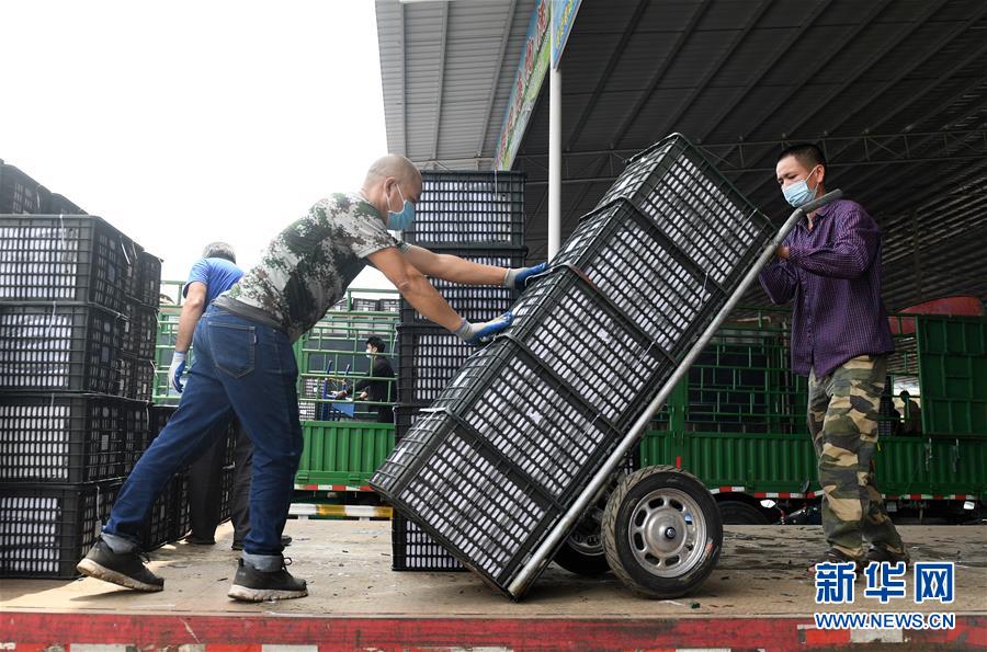 （新華全媒頭條&middot;圖文互動）（10）暢通雙循環(huán) 共享大市場&mdash;&mdash;從東博會看中國新發(fā)展格局