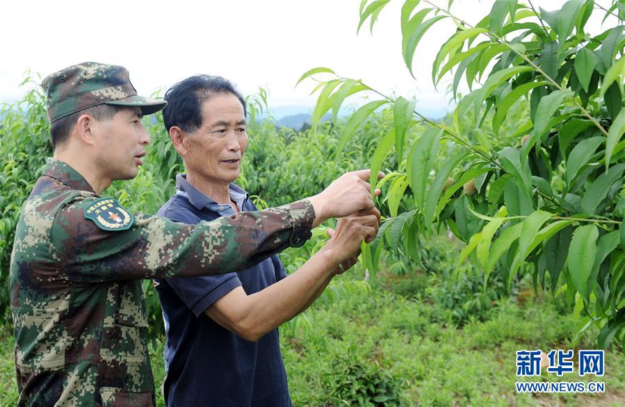 (代表委員履職·圖文互動(dòng))(2)跑遍山寨送希望 奔波萬(wàn)里助脫貧——全國(guó)人大代表周豐林履職記