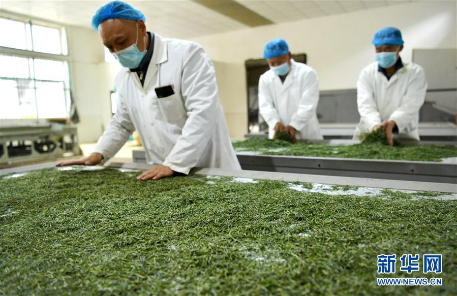 （新華全媒頭條&middot;圖文互動）（22）從人民中汲取磅礴力量&mdash;&mdash;習(xí)近平總書記同出席2020年全國兩會人大代表、政協(xié)委員共商國是紀(jì)實(shí)