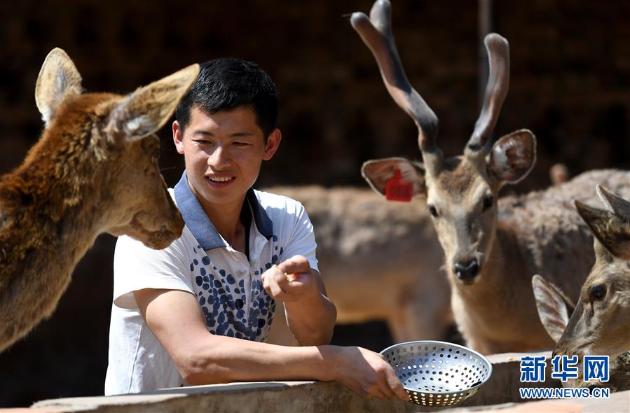 (“中國面貌”系列述評(píng)·圖文互動(dòng))(3)奇跡中國——70年中國面貌變遷述評(píng)之一