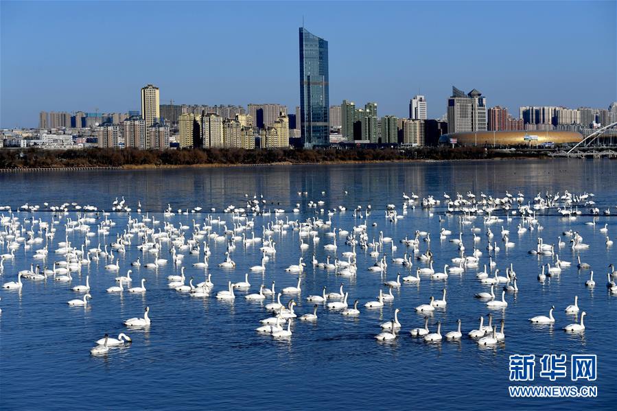 (新華全媒頭條·圖文互動(dòng))(14)中國道路越走越寬廣——社會(huì)主義中國實(shí)踐啟示錄