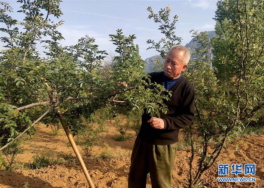 (新華全媒頭條·圖文互動)(5)春天里的5個“戰(zhàn)貧”瞬間——習近平總書記關于脫貧攻堅決策部署指引攻克最后的深貧堡壘