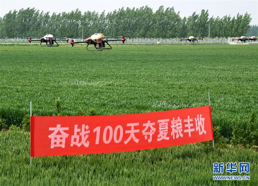 （在習(xí)近平新時(shí)代中國(guó)特色社會(huì)主義思想指引下&mdash;&mdash;新時(shí)代新作為新篇章&middot;習(xí)近平總書(shū)記關(guān)切事&middot;圖文互動(dòng)）（9）新農(nóng)事、新希望&mdash;&mdash;夏收前田間新動(dòng)態(tài)掃描