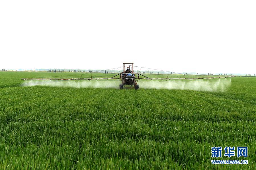 （在習(xí)近平新時(shí)代中國(guó)特色社會(huì)主義思想指引下&mdash;&mdash;新時(shí)代新作為新篇章&middot;習(xí)近平總書(shū)記關(guān)切事&middot;圖文互動(dòng)）（10）新農(nóng)事、新希望&mdash;&mdash;夏收前田間新動(dòng)態(tài)掃描