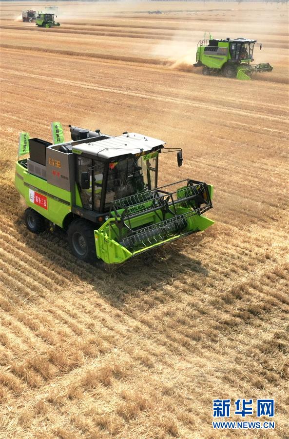 (在習(xí)近平新時代中國特色社會主義思想指引下——新時代新作為新篇章·習(xí)近平總書記關(guān)切事·圖文互動)(13)讓農(nóng)民挑上“金扁擔(dān)”——農(nóng)業(yè)現(xiàn)代化的生動實踐掃描