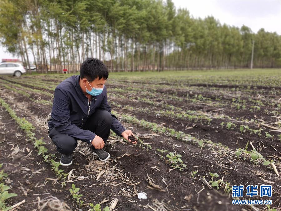 (在習(xí)近平新時代中國特色社會主義思想指引下——新時代新作為新篇章·習(xí)近平總書記關(guān)切事·圖文互動)(6)讓每一寸耕地都成為豐收的沃土——我國加強耕地保護推進(jìn)“藏糧于地”