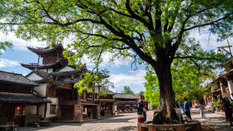 與古為新 文脈綿長(zhǎng)