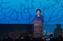 第三屆中國－中東歐國家衛(wèi)生部長(zhǎng)論壇在匈牙利舉行 劉延?xùn)|出席開幕式并致辭