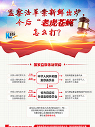 監(jiān)察法草案新鮮出爐 今后&ldquo;老虎蒼蠅&rdquo;怎么打？