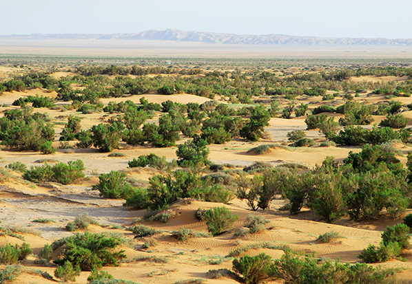 【長(zhǎng)篇通訊】塞罕壩，京城綠色屏障的前世今生