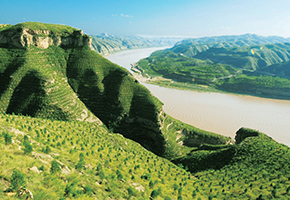 張建龍：&ldquo;三北工程&rdquo;實(shí)現(xiàn)生態(tài)、經(jīng)濟(jì)、社會(huì)效益&ldquo;多贏&rdquo;