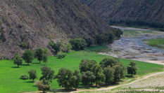 天山克爾古提盛夏時(shí)節(jié)谷里谷外&ldquo;冰火&rdquo;兩重天