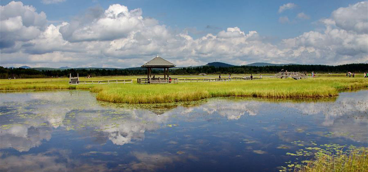 那一抹綠色，走進越來越多人心里&mdash;&mdash;河北塞罕壩續(xù)寫新時代綠色傳奇