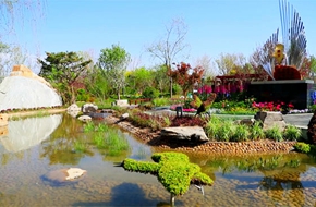 從媯水河到白洋淀 見證同一個綠色夢想