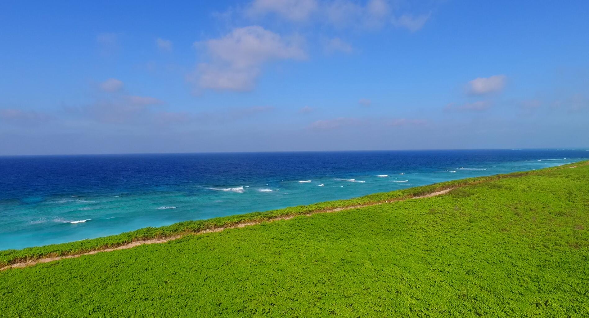 海南園 植物園 生態(tài)園