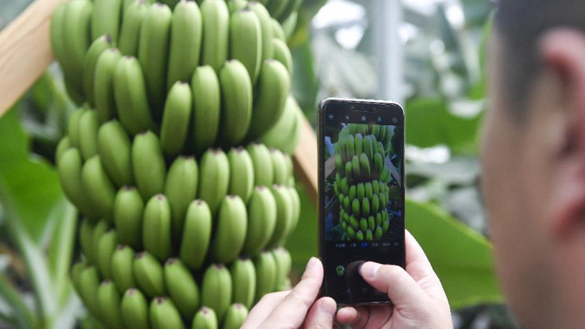 吉林萬(wàn)昌現(xiàn)代農(nóng)業(yè)發(fā)展先導(dǎo)區(qū)&ldquo;三變&rdquo;