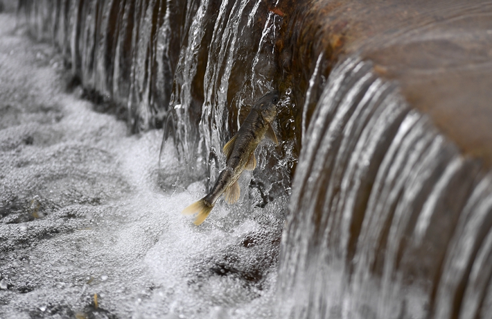 生態(tài)中國&middot;一碧青海潤三江