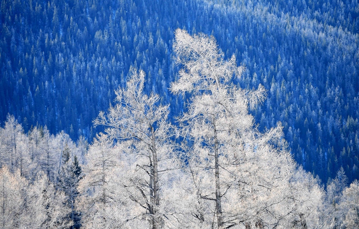 生態(tài)中國&middot;壯美山河瞰新疆