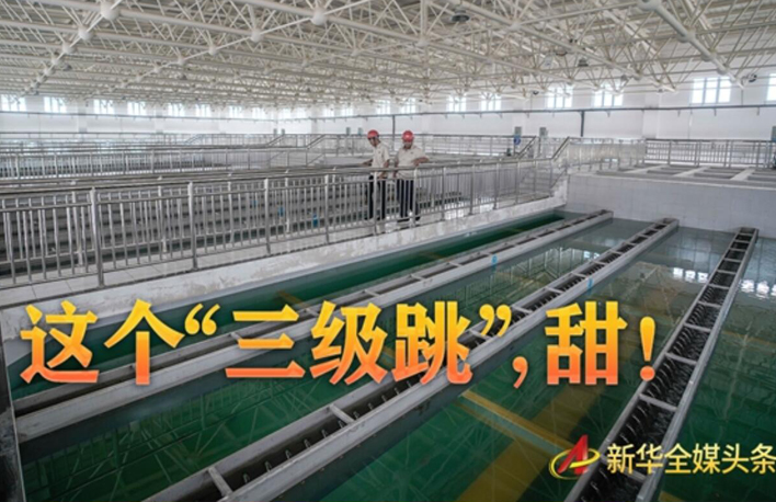 這個&ldquo;三級跳&rdquo;，甜！