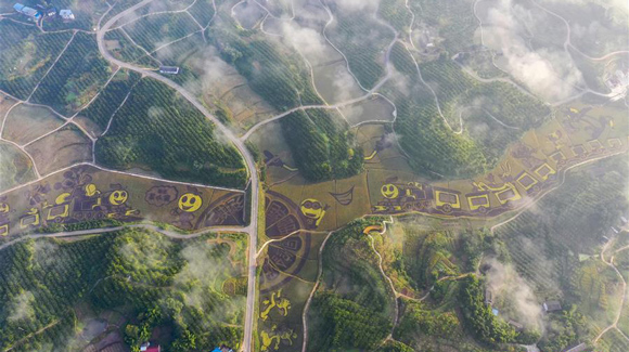 百城千縣萬(wàn)村調(diào)研行｜在三峽橘鄉(xiāng)，遇見(jiàn)最美的田園時(shí)光！