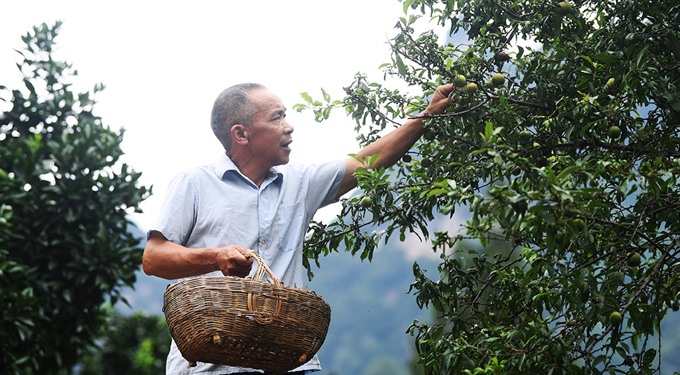 敢向絕壁要&ldquo;天路&rdquo;&mdash;&mdash;記當(dāng)代&ldquo;愚公&rdquo;毛相林