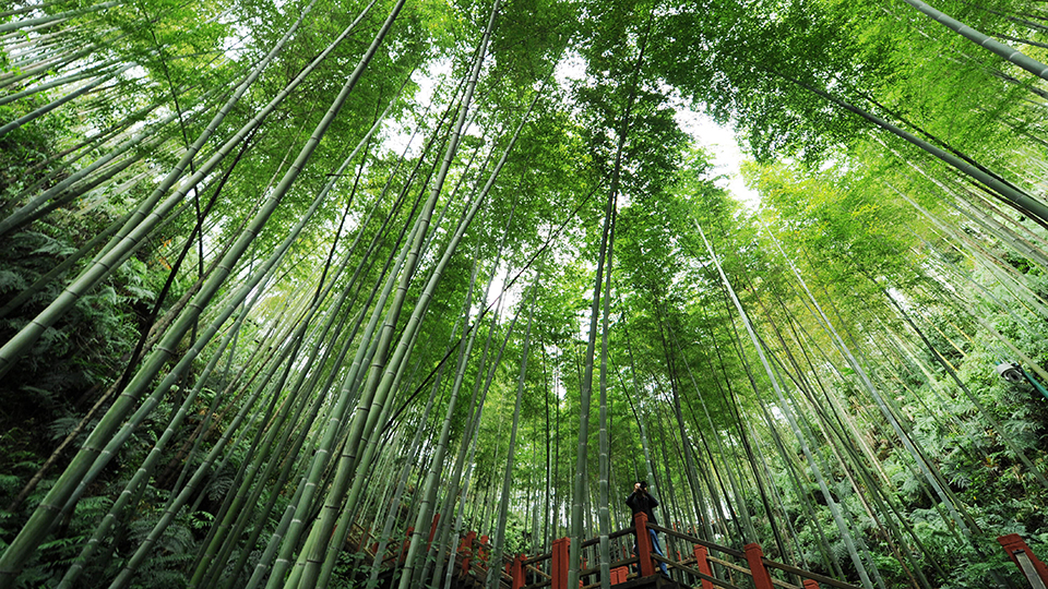 合作共治、責(zé)任共擔(dān)、效益共享&mdash;&mdash;赤水河流域跨省生態(tài)補(bǔ)償取得積極成效