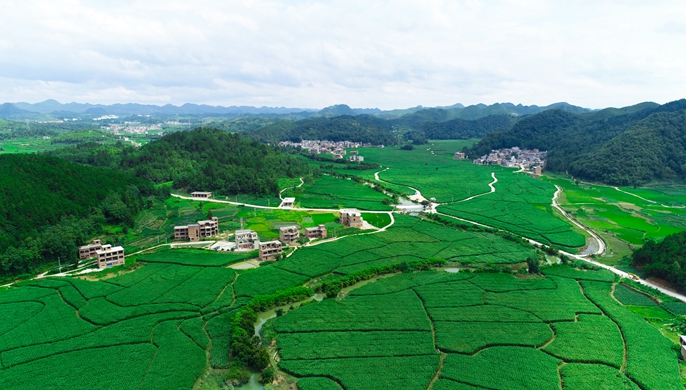 讓核子&ldquo;裂變&rdquo;的&ldquo;茭白隊(duì)長(zhǎng)&rdquo;