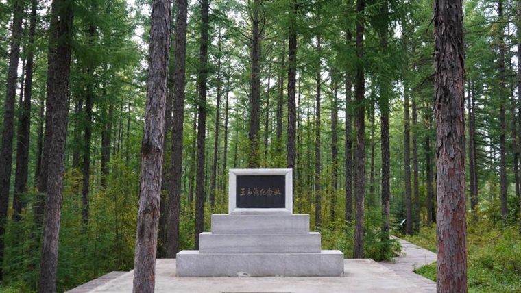 牢記使命 綠色發(fā)展&mdash;&mdash;塞罕壩精神述評(píng)