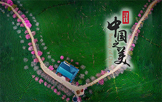 江山如畫，想把春的故事講給你聽