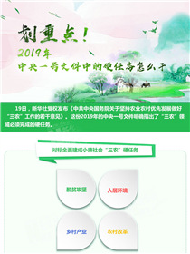 劃重點(diǎn)！2019年中央一號文件中的硬任務(wù)怎么干
