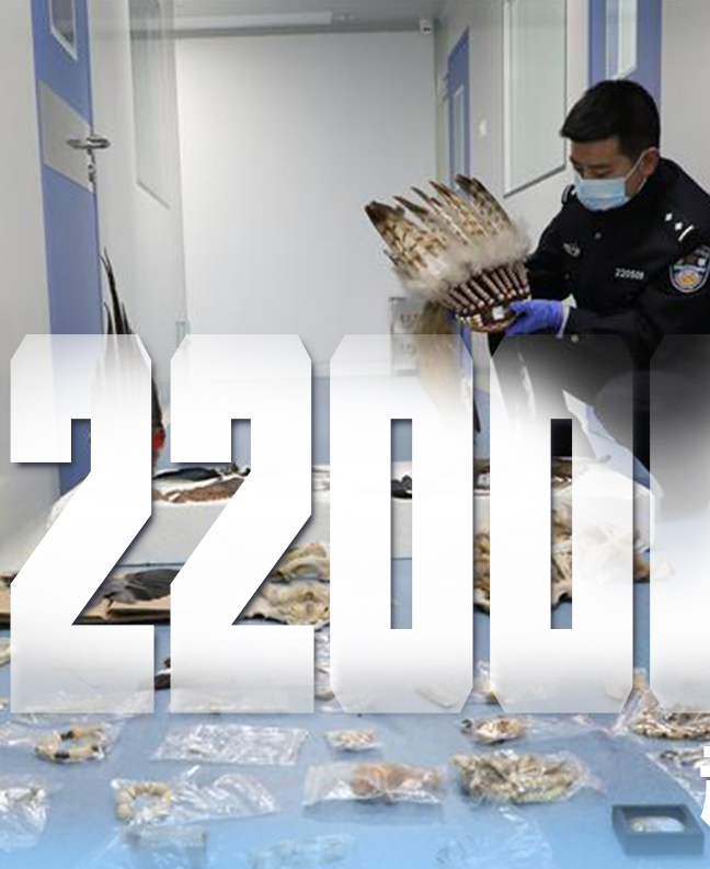 抗疫有&ldquo;法&rdquo;，就是這么給力！