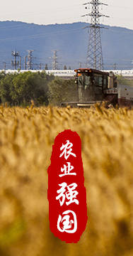 農(nóng)業(yè)強(qiáng)國是社會主義現(xiàn)代化強(qiáng)國的根基。