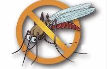 夏季，常見蚊蟲如何應(yīng)對
