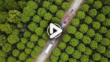 第十一集：你好！地球衛(wèi)士