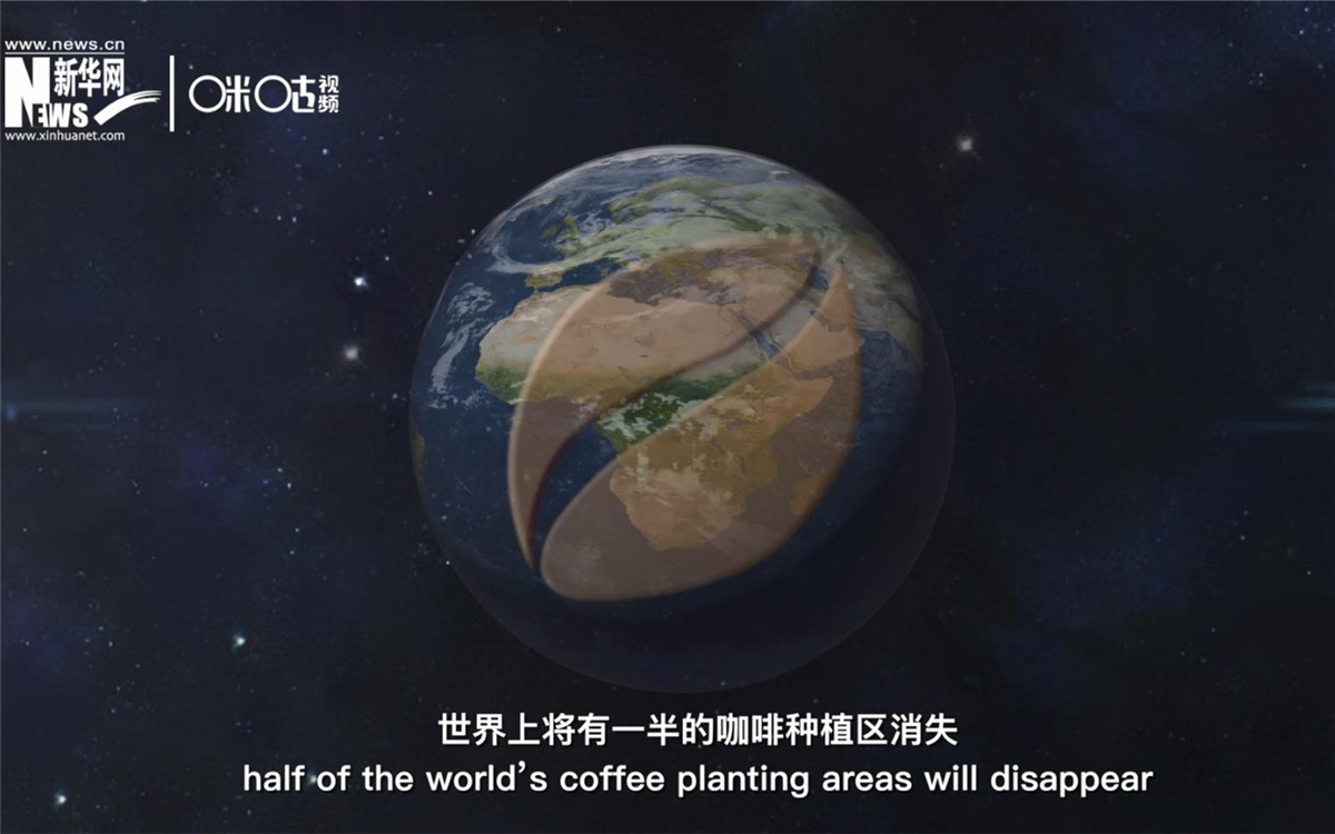 科學(xué)家預(yù)測(cè)到三十年后，世界上將有一半的咖啡種植區(qū)消失