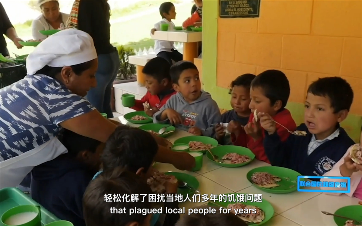 藜麥的蹤跡遍布北美、歐洲、亞洲和非洲多地