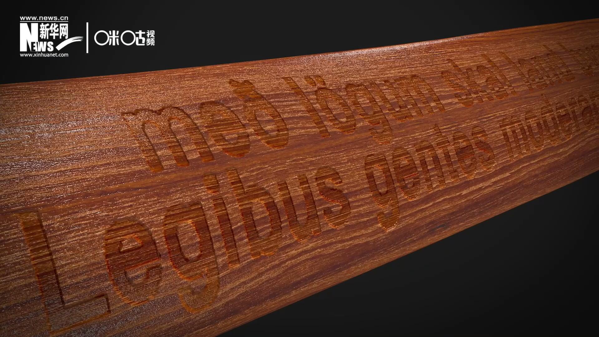 這把木槌尺寸超大、顏色棕紅、精雕細刻，上面刻有&ldquo;社會必須建立在法律的基礎(chǔ)上&rdquo;。