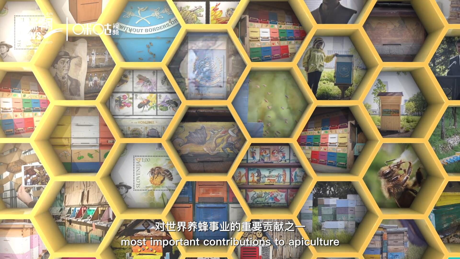 他開(kāi)始用色彩豐富的畫作來(lái)裝飾蜂巢的前板，幫助不同蜂群按照習(xí)性和顏色順利找到自己的蜂巢