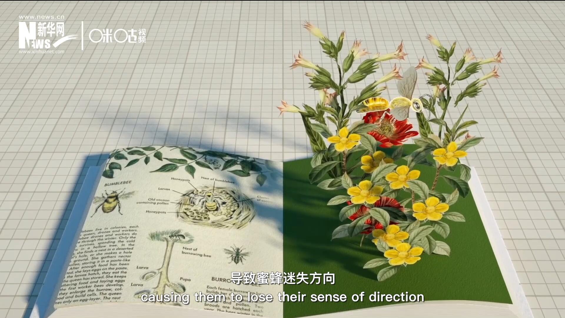 殺蟲(chóng)劑會(huì)破壞蜜蜂的神經(jīng)系統(tǒng)，導(dǎo)致蜜蜂迷失方向，無(wú)法回到蜂房，還會(huì)降低蜜蜂的抵抗力