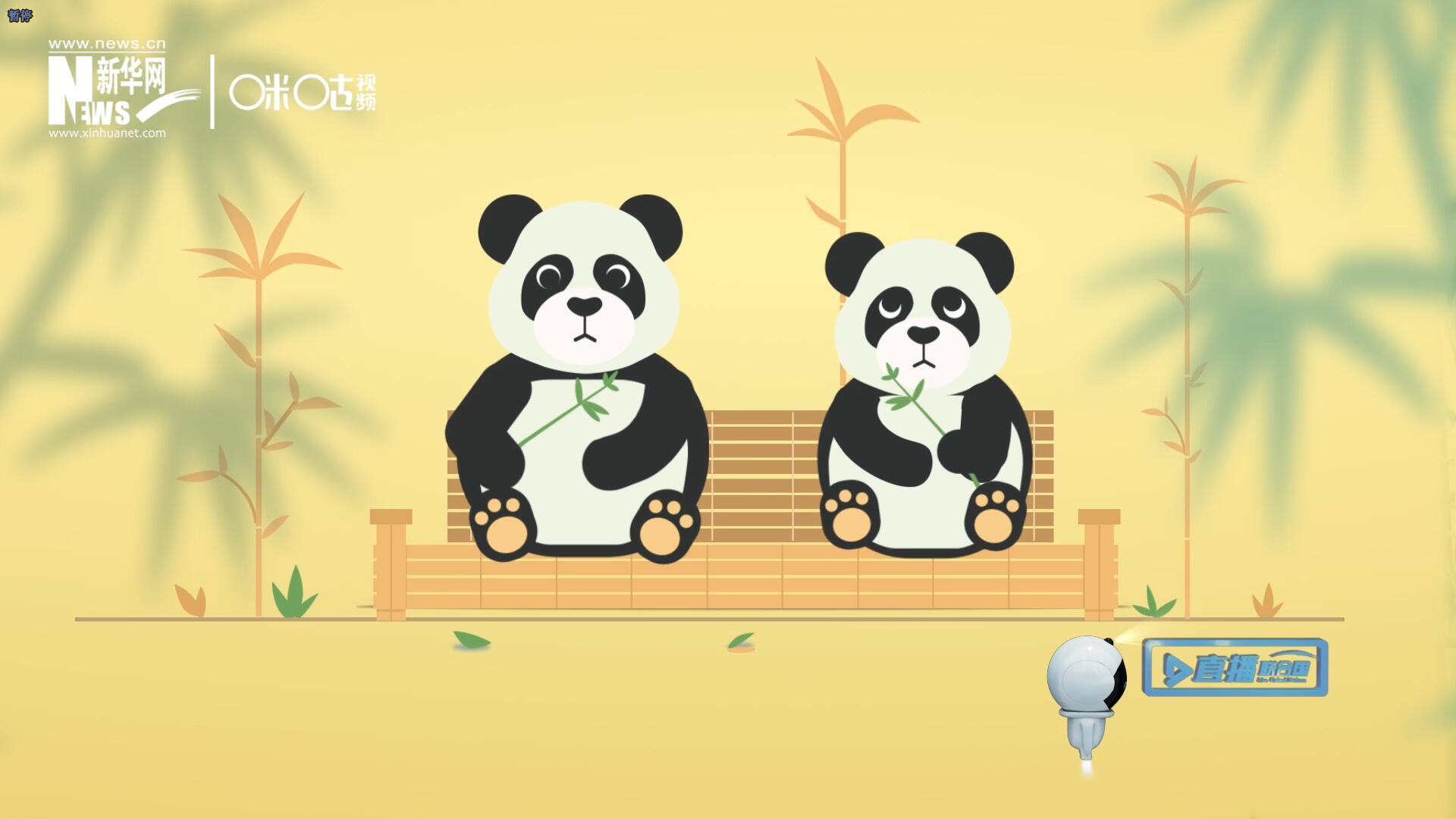 &ldquo;哥哥你看，又有人來看我們了。&rdquo;&ldquo;有什么奇怪的，我們可是聯(lián)合國&lsquo;最萌&rsquo;的大使啊！&rdquo;。